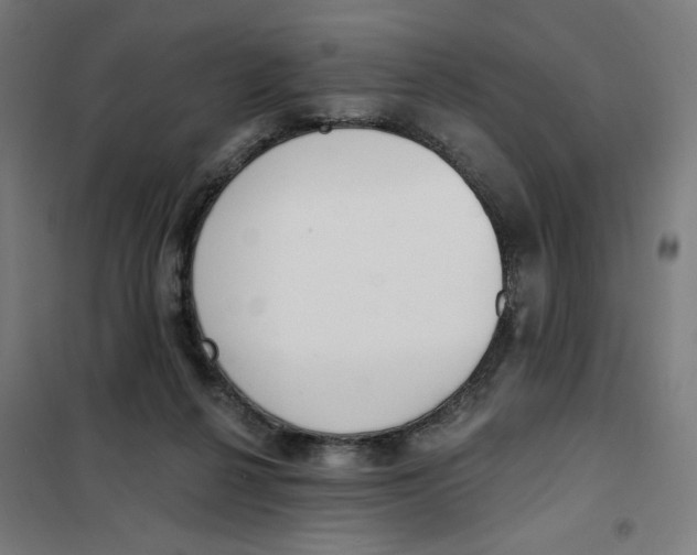 X0000101230264200807251141