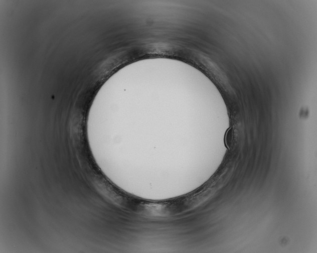 X0000101230265200807251141