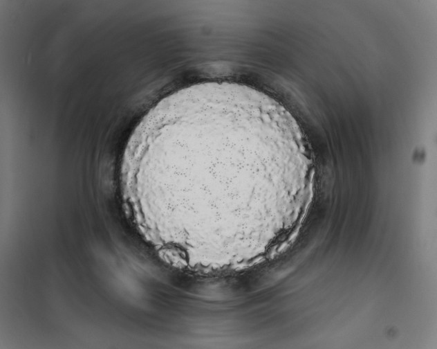 X0000101230267200807251141