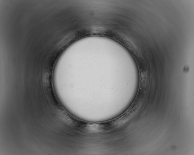 X0000101230269200807251141