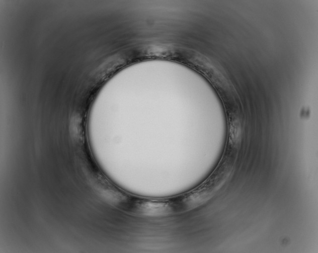 X0000101230270200807251141