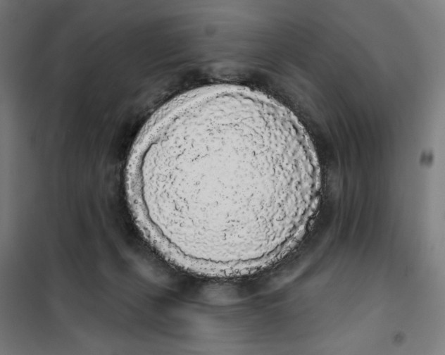 X0000101230271200807251141