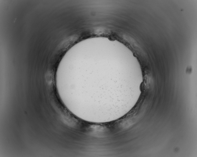 X0000101230272200807251141