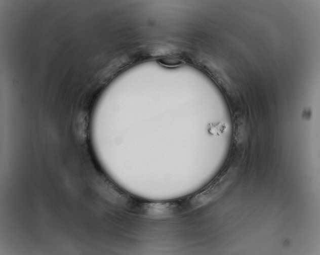 X0000101230273200807251141