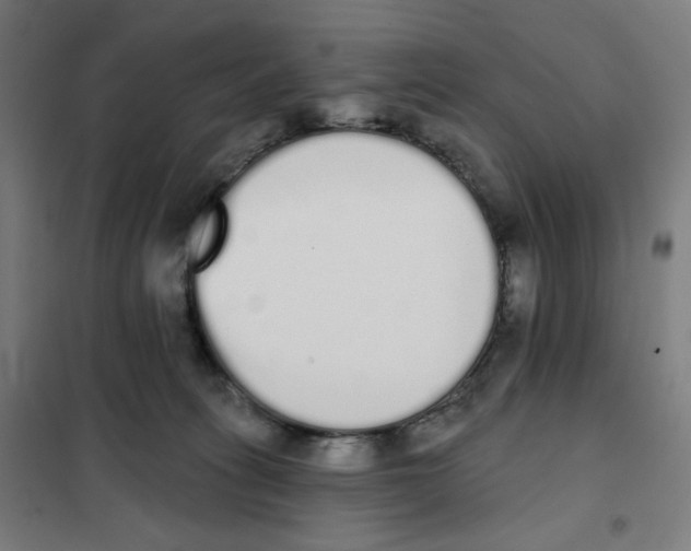 X0000101230275200807251141