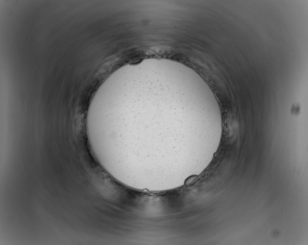 X0000101230276200807251141