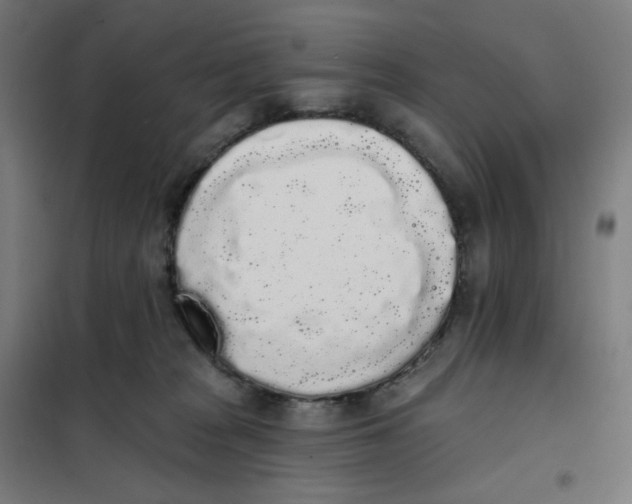 X0000101230277200807251141