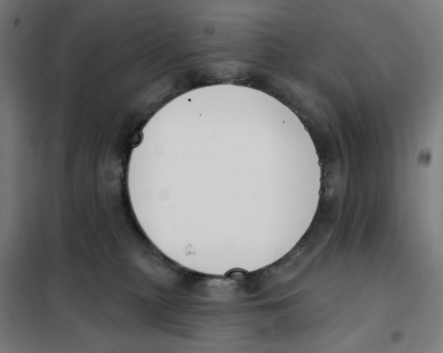 X0000101230279200807251141