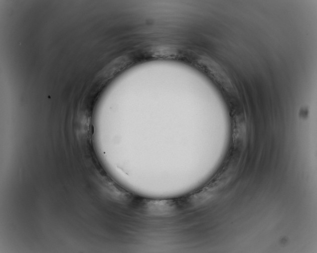 X0000101230281200807251141