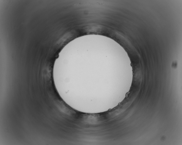 X0000101230282200807251141