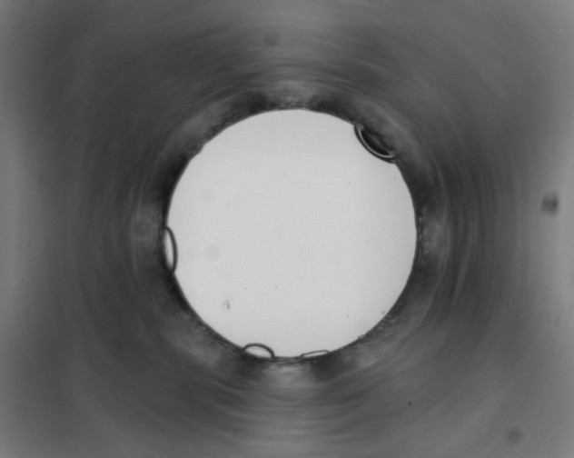 X0000101230283200807251141