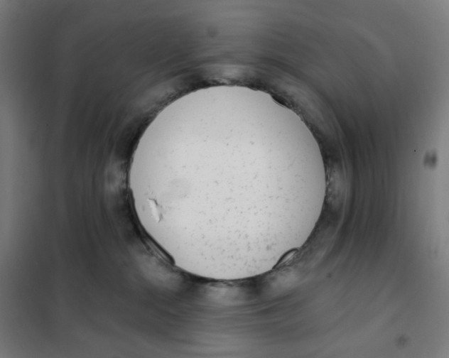 X0000101230284200807251141