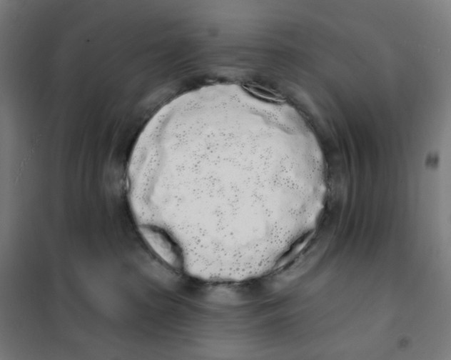 X0000101230285200807251141