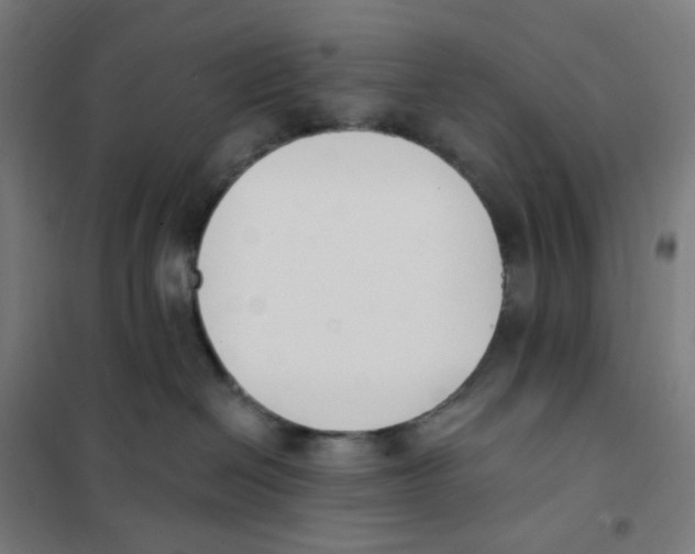 X0000101230286200807251141