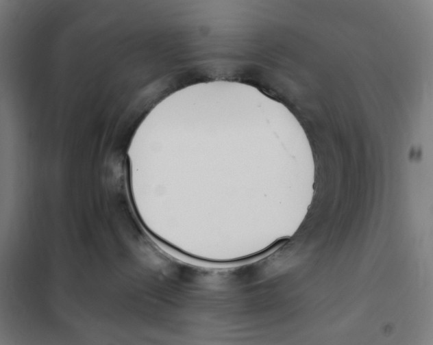 X0000101230288200807251141