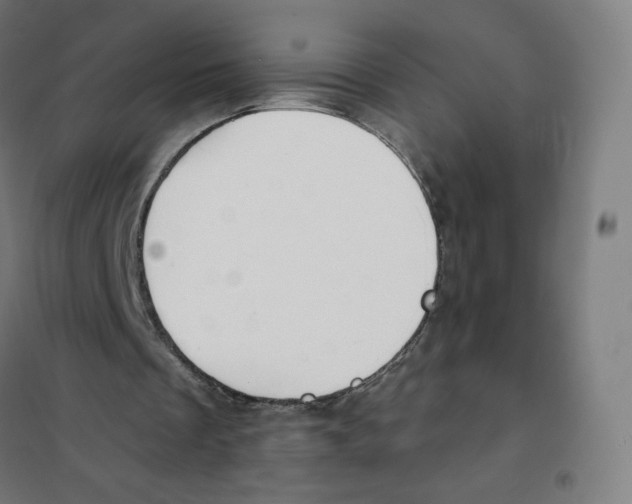 X0000101230289200807251141