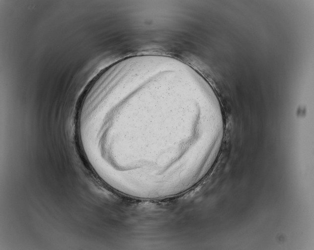 X0000101230290200807251141
