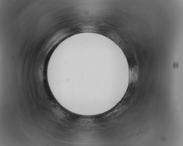 X0000101230291200807251140