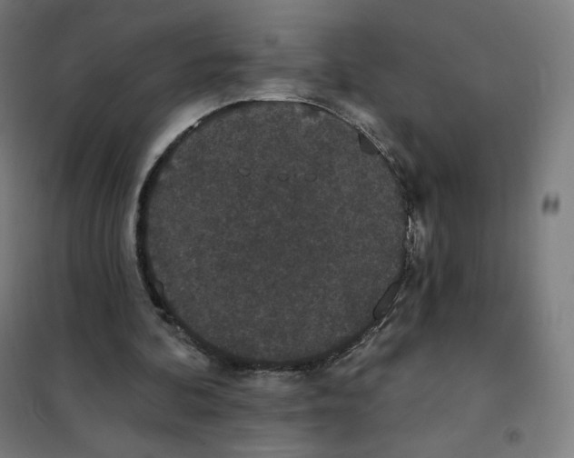 X0000101230292200807251140
