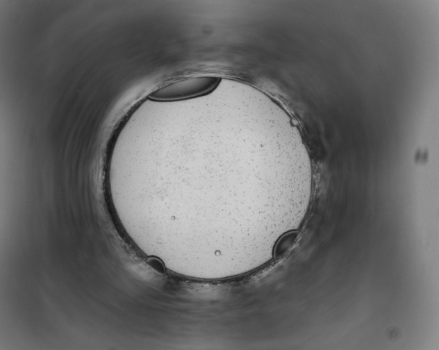 X0000101230293200807251140