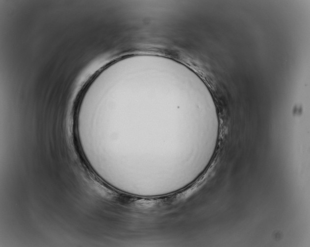 X0000101230294200807251140