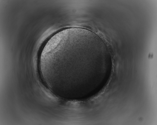 X0000101230295200807251140