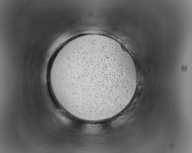X0000101230296200807251140