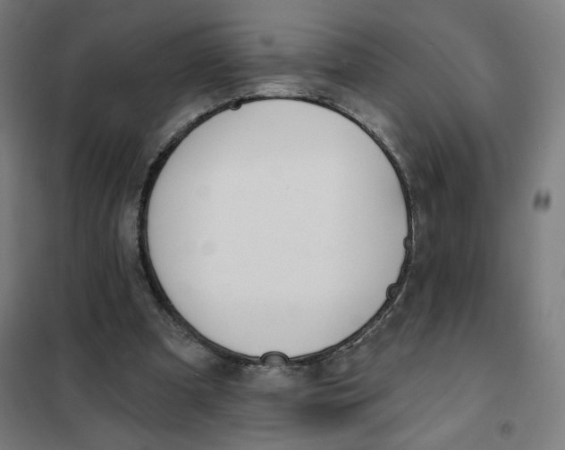 X0000101230297200807251140