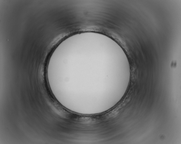 X0000101230298200807251140
