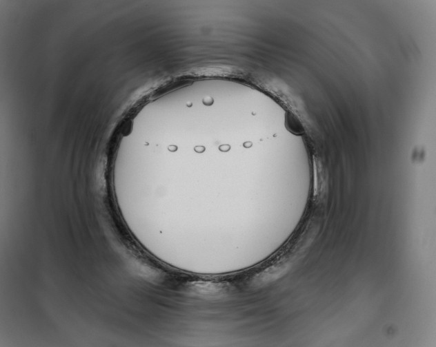 X0000101230300200807251140
