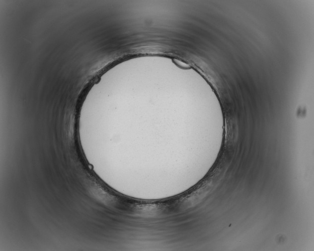 X0000101230301200807251140
