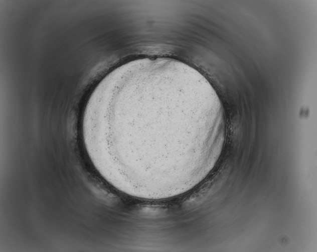 X0000101230303200807251140