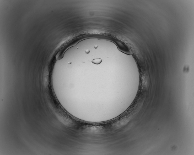 X0000101230304200807251140