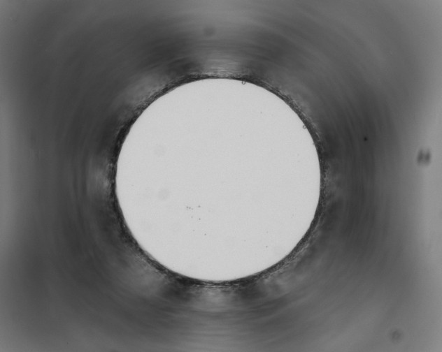 X0000101230305200807251140