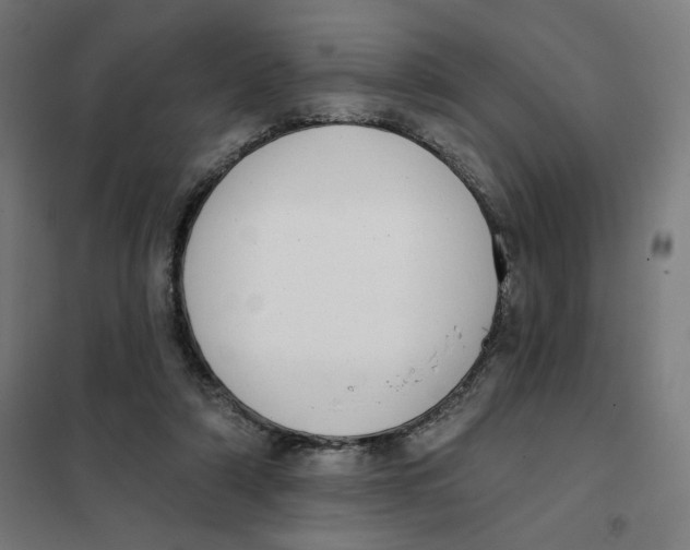 X0000101230306200807251140