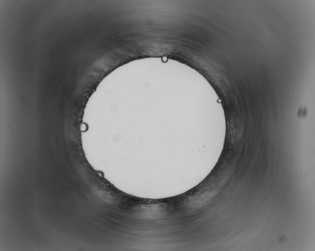 X0000101230307200807251140
