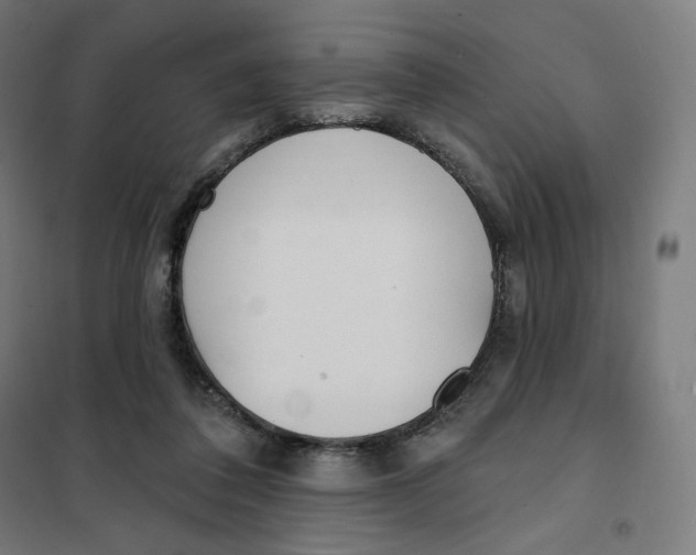 X0000101230308200807251140