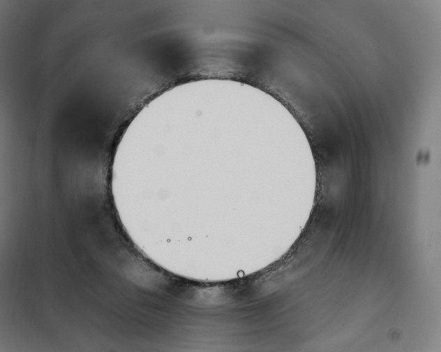 X0000101230309200807251140