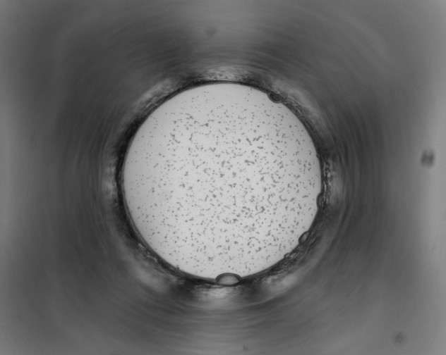 X0000101230312200807251140