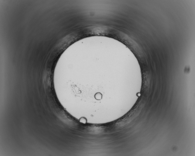 X0000101230313200807251140