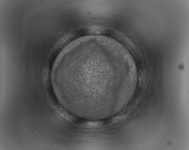 X0000101230314200807251140