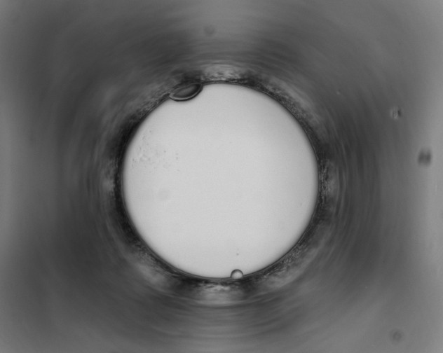 X0000101230315200807251140