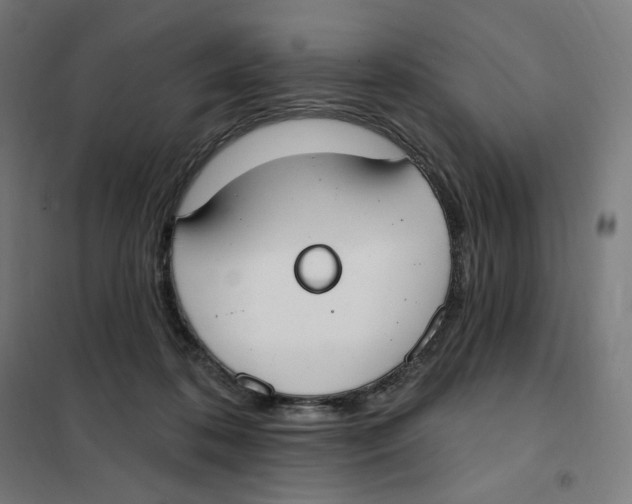 X0000101230316200807251140