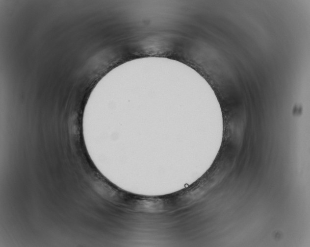 X0000101230317200807251140