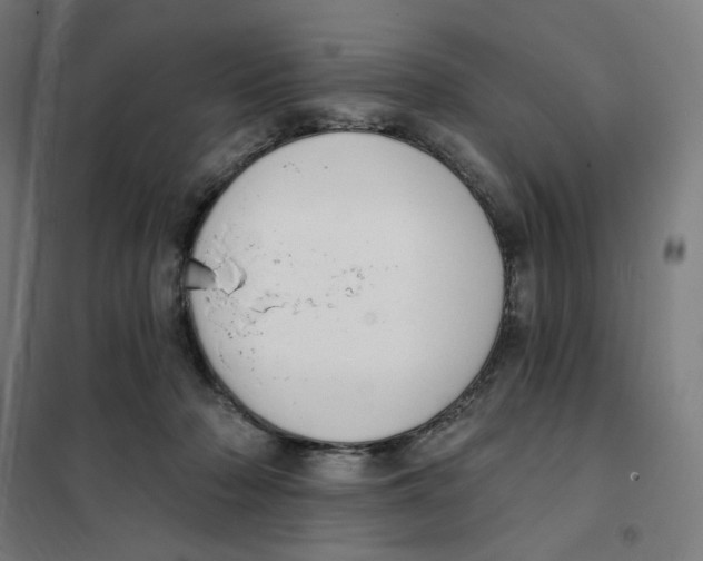 X0000101230318200807251140
