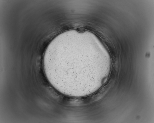X0000101230319200807251140