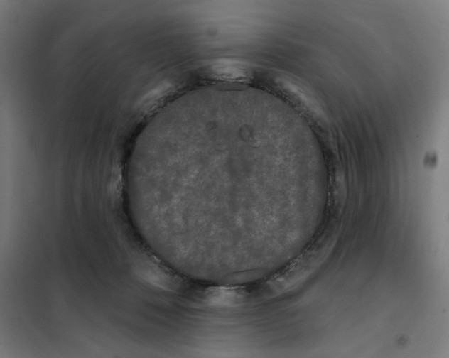 X0000101230320200807251140