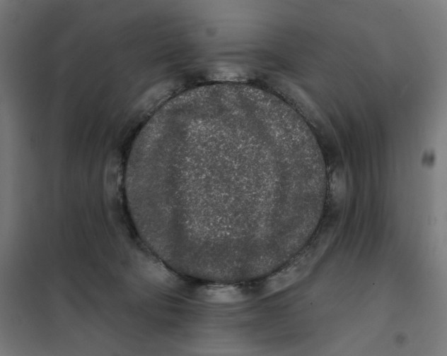 X0000101230322200807251140