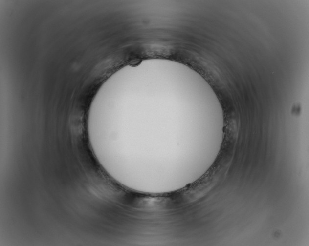 X0000101230323200807251140
