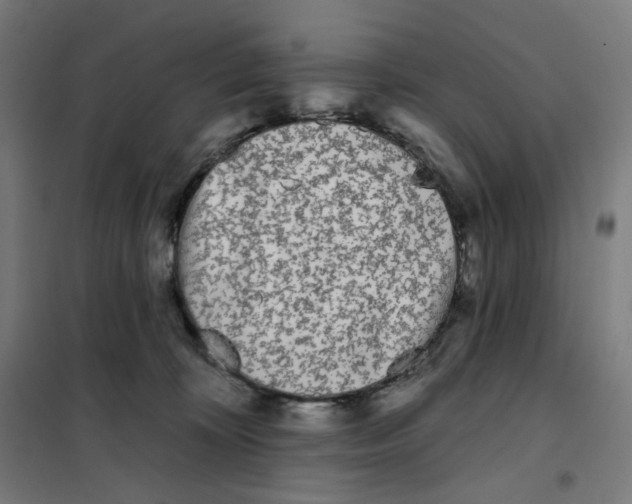 X0000101230324200807251140
